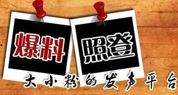 爆料新闻官方爆料平台,揭秘事件真相  第1张